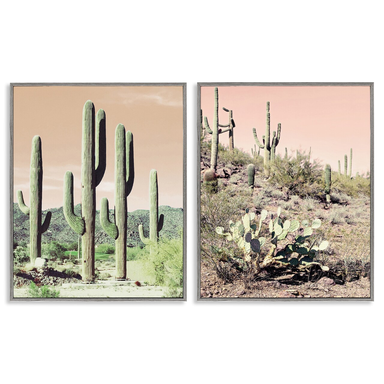 Stupell Industries Saguaro Cactus Desertscape 2 pc Framed Giclee Wall Art Set Design by Susan Bryant